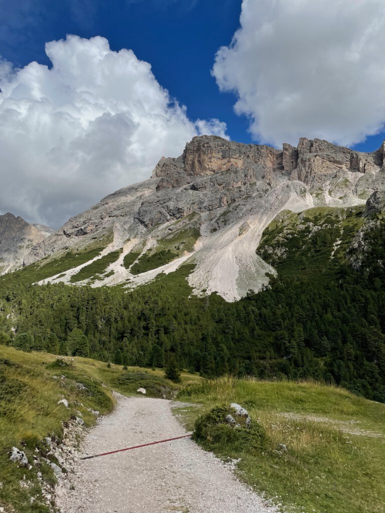 Wandern in der Natur ist eine wunderbare Bewegung an der frischen Luft und zum anderen auch als Sport eine gesunde Art, deine Fitness zu steigern.